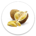 Durian 圖標