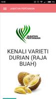 Durian 海報