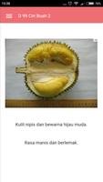 برنامه‌نما Durian عکس از صفحه