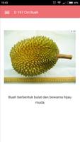 Durian 截圖 3