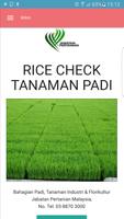 Rice Check Padi постер