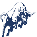 APK Swing Trader Lite