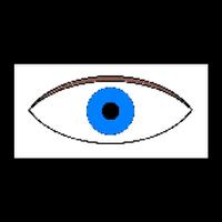 Vividus Camera Ekran Görüntüsü 2