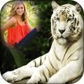 Tiger Photo Frame