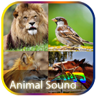 Animal Sounds All in One icône