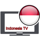 Indonesia My TV Channel Online APK