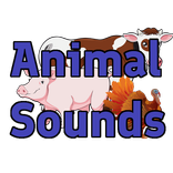Animal Sounds
