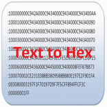 Text to Hex