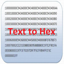 Text to Hex APK
