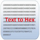 Text to Hex アイコン