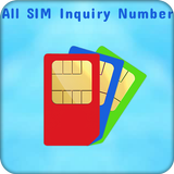 SIM Inquiry Numbers For Mobile icône