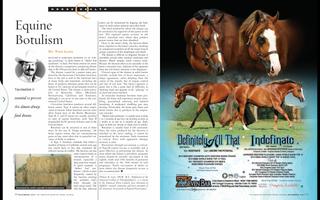 American Quarter Horse Journal capture d'écran 2
