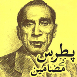 Patras Kay Mazameen icon