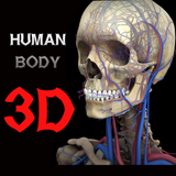 3D Human Body
