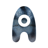 Akvariet i Bergen: Lærelyst