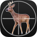 Hunting Simulator Free APK