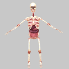 Birikis Skeleton icône