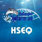 Ballangen HSEQ 图标