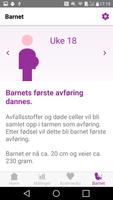 MinSafeStart Plakat