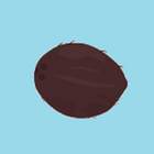 Flying Coconut icon