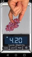Poster Weed Weight Scale Simulator