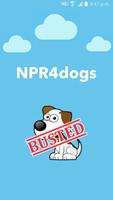 NPR4dogs الملصق