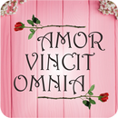 Novel Amor Vincit Omnia APK
