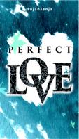 Novel Perfect Love Affiche