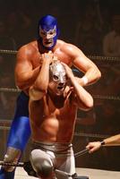 Mexican Wrestling Wallpapers 스크린샷 1