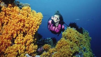 Scuba Diving Wallpapers - HD capture d'écran 1