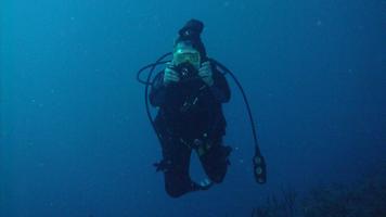 Scuba Diving Wallpapers - HD capture d'écran 2