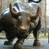 Wall Street Bull Wallpapers icône