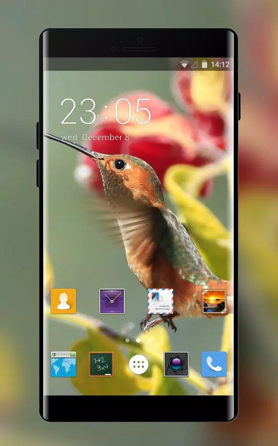 Скачать Theme For Nokia Asha 230 Dual SIM Birds Wallpaper APK Для.