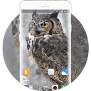 Theme for Nokia Lumia 638 Owl Wallpaper-APK