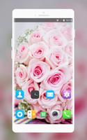 Theme for Nokia Lumia 735 Rose wallpaper bài đăng