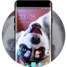 Icona Theme for Nokia X2 Dual SIM Husky Wallpaper