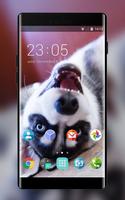 Theme for Nokia X2 Dual SIM Husky Wallpaper পোস্টার