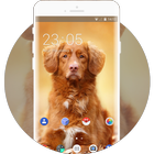 Theme for Nokia XL 4G Dog Wallpaper biểu tượng