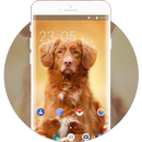 Theme for Nokia XL 4G Dog Wallpaper APK