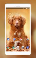 Theme for Nokia XL 4G Dog Wallpaper bài đăng