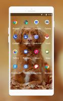 Theme for Nokia XL 4G Dog Wallpaper ảnh chụp màn hình 1
