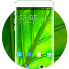 Theme for Nokia X+ HD icône