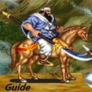 Guide for Warriors of Fate(ARCADE)-APK