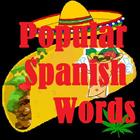 Popular Spanish Words icône