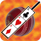 Cricket Poker Card Puzzle icône