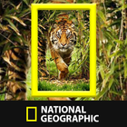 National Geographic Channel Zeichen