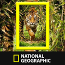 National Geographic Channel: Documentaries 2018 APK