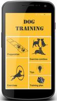 Dog and Puppy Training! exerci poster