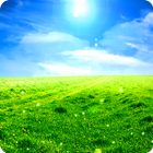 Nature Green Field LiveWP icône