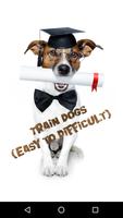 Dog Training(Easy 2 Difficult) Affiche